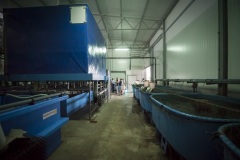 127_©_www_zweischrittweiter_at