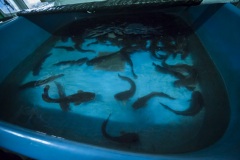 1_128_©_www_zweischrittweiter_at