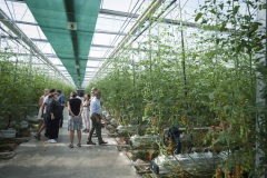 1_135_©_www_zweischrittweiter_at