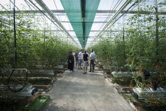 1_136_©_www_zweischrittweiter_at