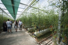 1_137_©_www_zweischrittweiter_at