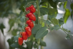 1_138_©_www_zweischrittweiter_at