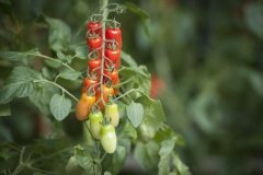 1_139_©_www_zweischrittweiter_at