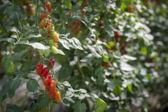 1_140_©_www_zweischrittweiter_at