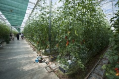 1_142_©_www_zweischrittweiter_at