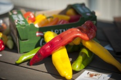 1_071_©_www_zweischrittweiter_at