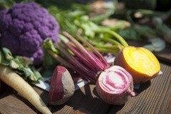 1_089_©_www_zweischrittweiter_at