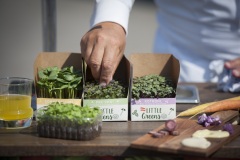 1_098_©_www_zweischrittweiter_at