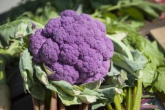 1_112_©_www_zweischrittweiter_at